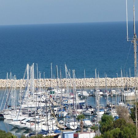 Aphrodite Heights Ларнака Екстериор снимка